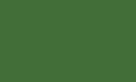 RAL 6010 - Grasgrün